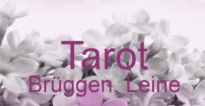 Tarot Brüggen, Leine | Top-Experten für Kartenlegen, Wahrsagen, Hellsehen, Zukunftsdeutung. Tarot Brüggen, Leine | Top-Experten für Kartenlegen, Wahrsagen, Hellsehen, Zukunftsdeutung.